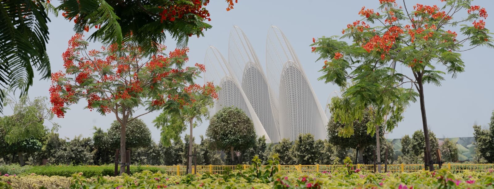 zayed national museum
