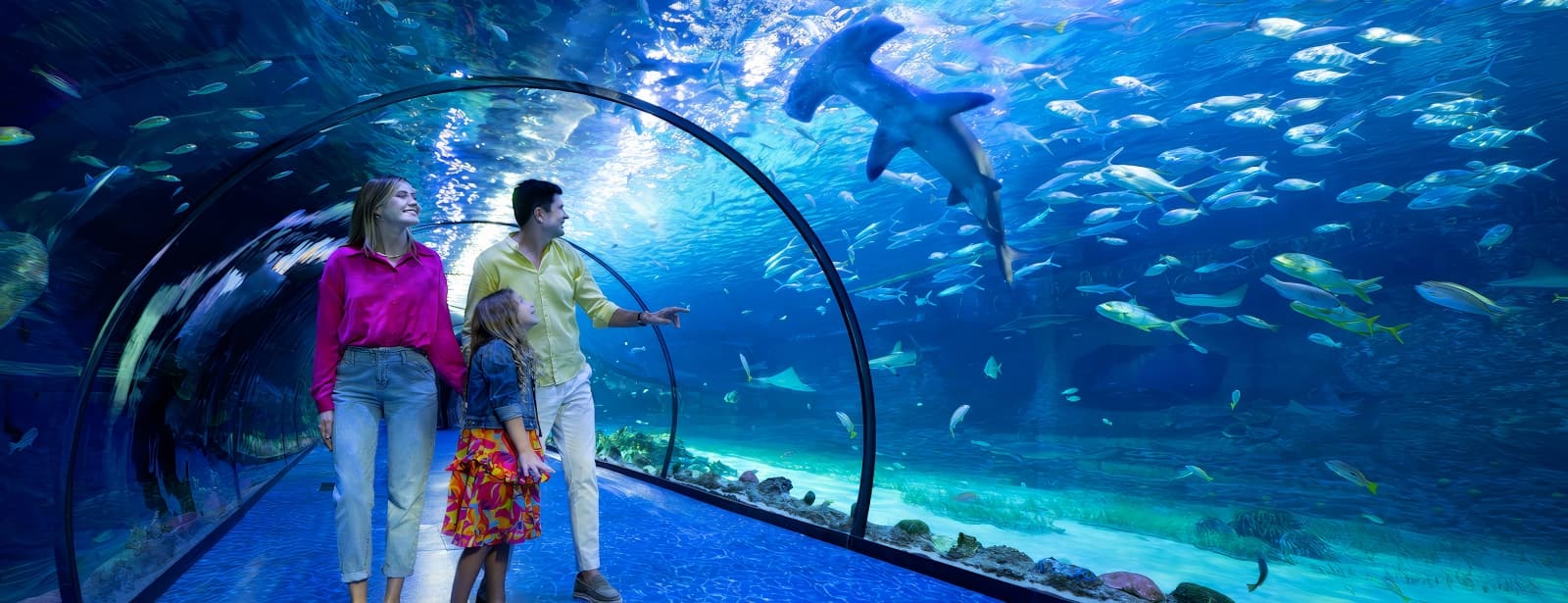 the national aquarium